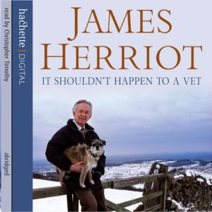 It Shouldn’t Happen to a Vet