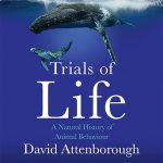 The Trials of Life